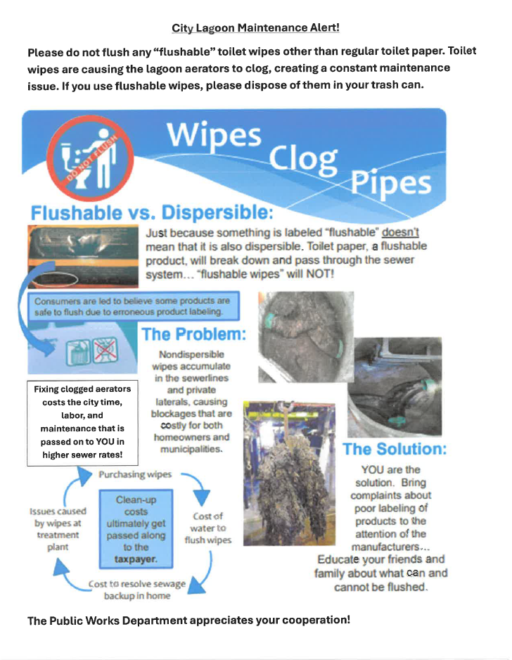 Poster text says not to flush “flushable” wipes; wipes clog lagoon aerators and sewer pipes—dispose in trash.